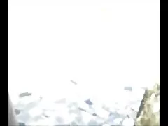 单aoi001
