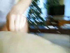 毛茸茸的泰国胖乎乎的业余的