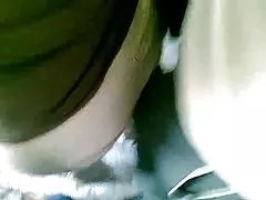 匈牙利的摩洛伊斯兰解放阵线凯茜e negerrel