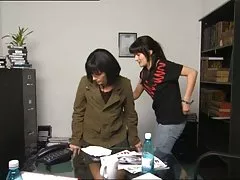 脂肪多毛猫组合 脂肪多毛猫组合