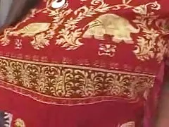 欧洲的喜鹊，有毛的妻子