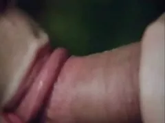 复古三人行