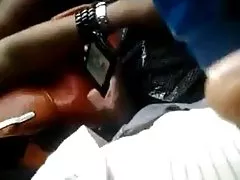 有毛的独奏亚洲