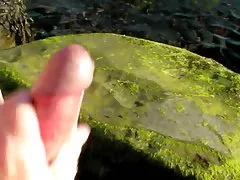 2亚洲漂亮的女同性恋者成的屁股 2亚洲漂亮的女同性恋者成的屁股