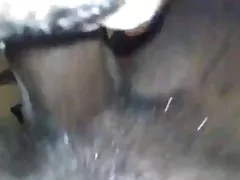 热毛福斯蒂娜 bvr