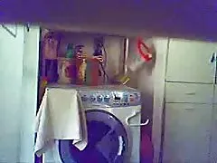 泰国芭堤雅猫