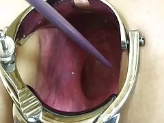 带宝贝