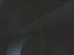 世界气候方案的俱乐部双饼