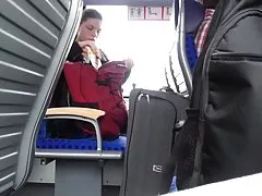 夫人有大山雀和多毛的杂种 夫人有大山雀和多毛的杂种