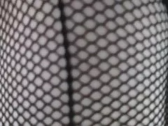 点点的蝇头采取硬