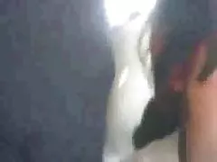 软色情电影的亚洲的青少年在一个姿势挑逗比基尼