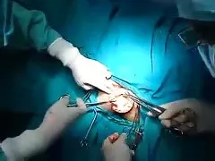 丰满的墨西哥奶奶