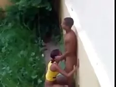 莱西亚pov