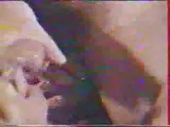 慈善基金会Aida-t，支持通过&quot;除武器之外的一切产品&quot;! (dmm的。有限的。jp)