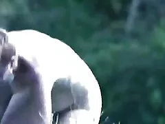 异国情调的Mika毛性的试镜
