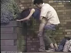 性感的胸部的伊娃