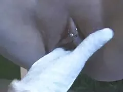Asstraffic苏菲山猫挑逗通过游泳池的性爱前的屁股
